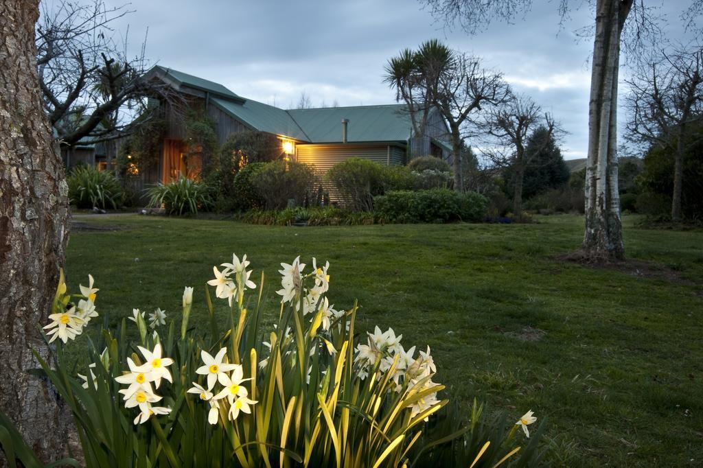 Whakaipo Lodge Таупо Екстер'єр фото